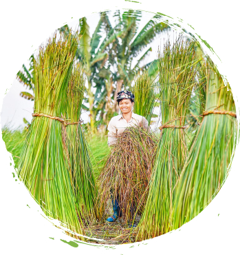 Giới thiệu về chúng tôi